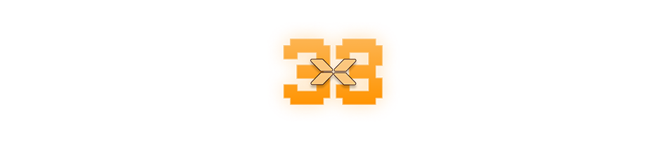 x33